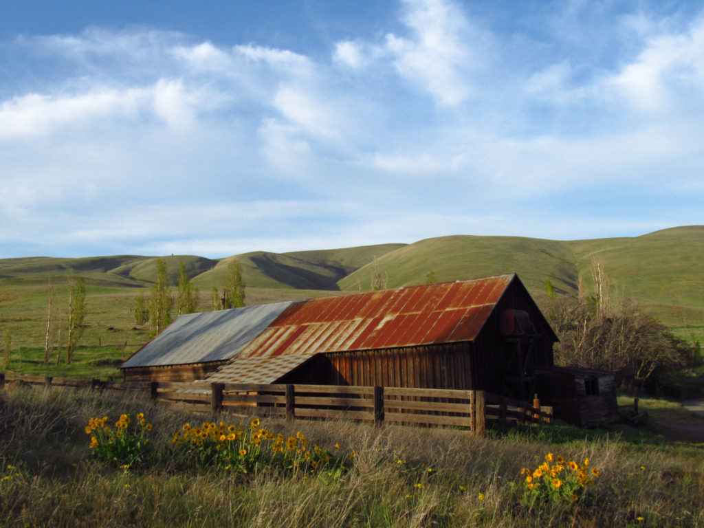 7 Books like little house on the prairie for adults